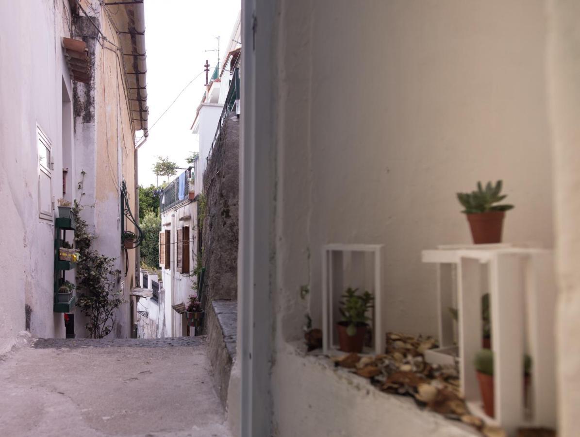 Amalfi Coast Sea View Villa Vietri Eksteriør bilde